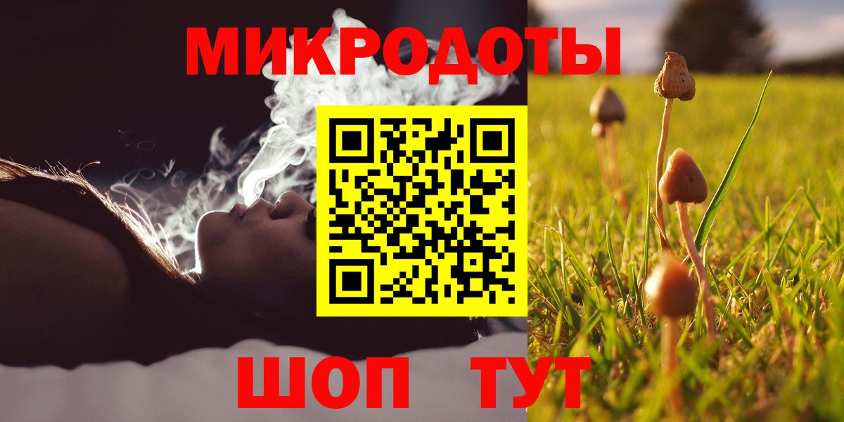 Псилоцибиновые грибы MAGIC MUSHROOMS Сланцы